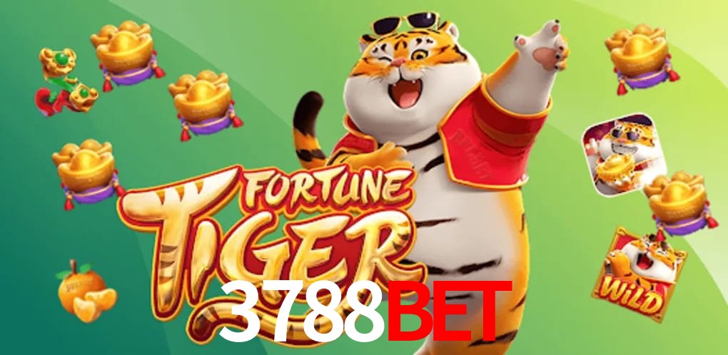 Statistics 3788bet