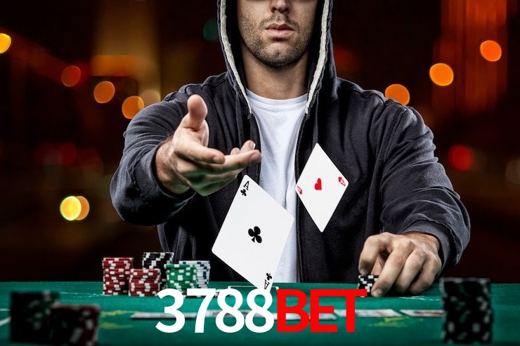 3788 bet